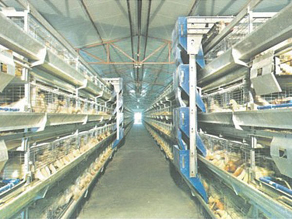 層疊式蛋雞籠養(yǎng)養(yǎng)雞設備