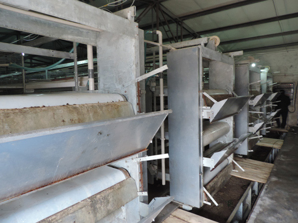 層疊式蛋雞籠養(yǎng)養(yǎng)雞設(shè)備