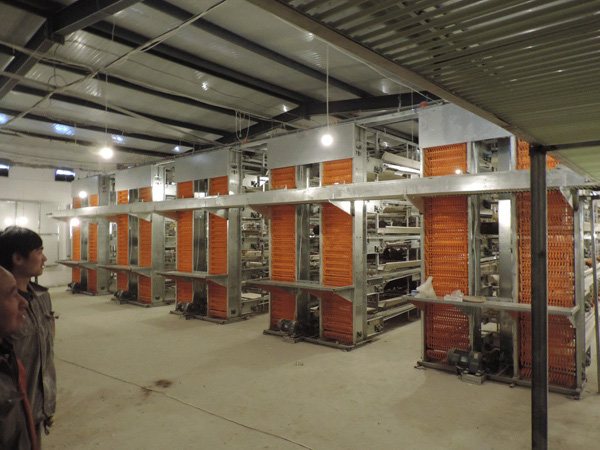 層疊式蛋雞籠養(yǎng)養(yǎng)雞設(shè)備