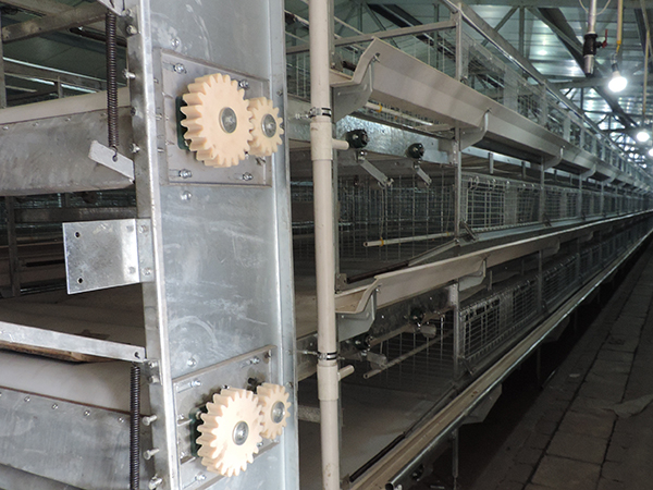 層疊式肉雞設(shè)備